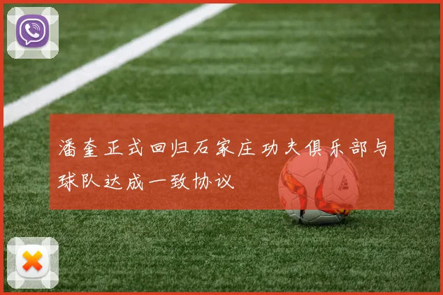 潘奎正式回归石家庄功夫俱乐部与球队达成一致协议