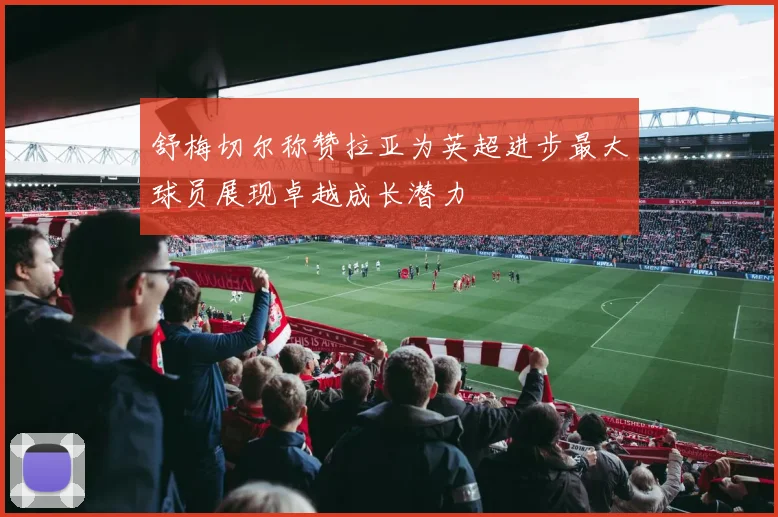 舒梅切尔称赞拉亚为英超进步最大球员展现卓越成长潜力