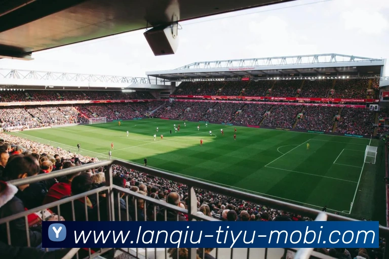 App Interface Preview