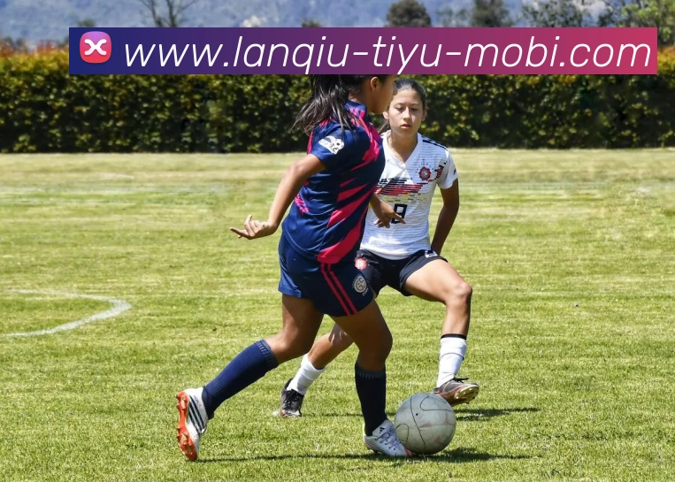 篮球赌注APP 封面图